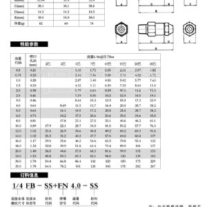 微細(xì)霧化噴嘴-FN